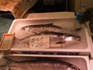 小樽：鱗友市場の時鮭
