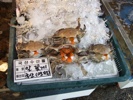 富平市場 ワタリ蟹