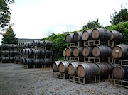 Lenz Winery の庭