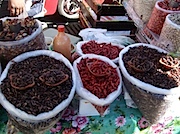 Jamaica 市場：昆虫